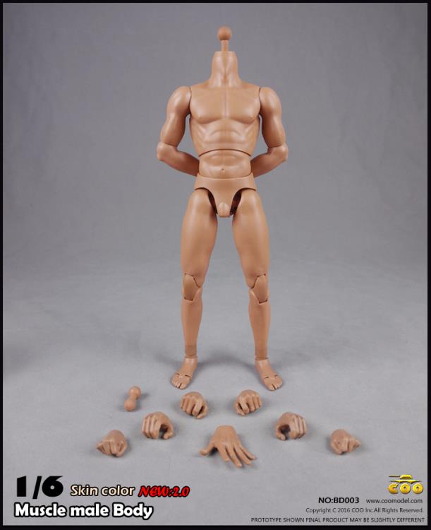 1/6 Scale Muscle Male Body 2.0 (9.80") Gallery Image 2