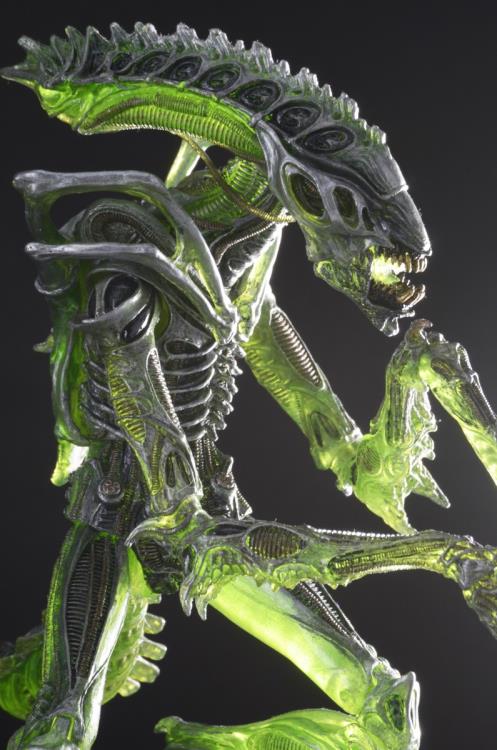 Alien Series 10 Mantis Alien Figure