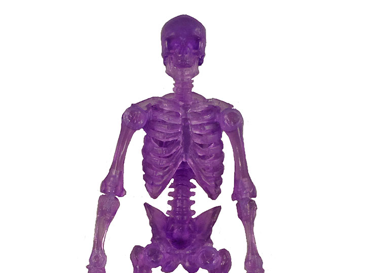 Vitruvian H.A.C.K.S. Skeleton Blank (Purple) Gallery Image 1