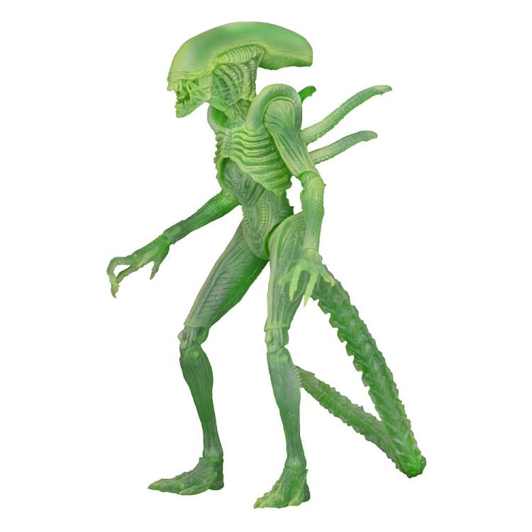Alien vs. Predator Thermal Vision Warrior Alien Figure (Glow-in-the-Dark) Gallery Image 4