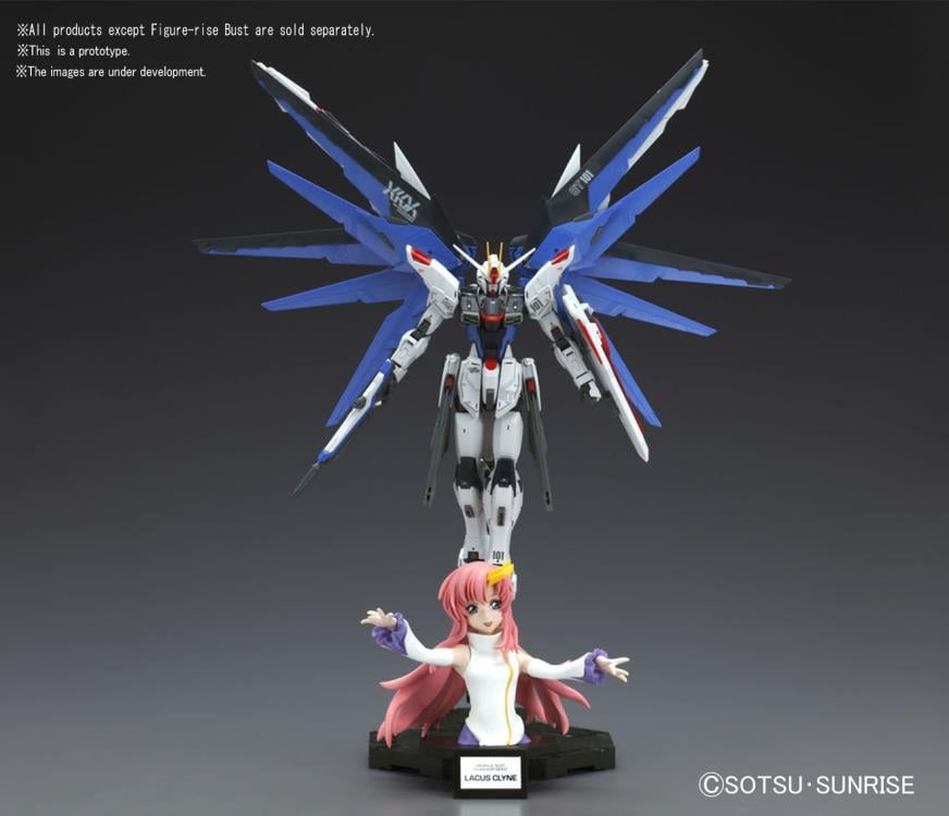 Mobile Suit Gundam SEED Figure-rise Bust Lacus Clyne Model Kit Gallery Image 9