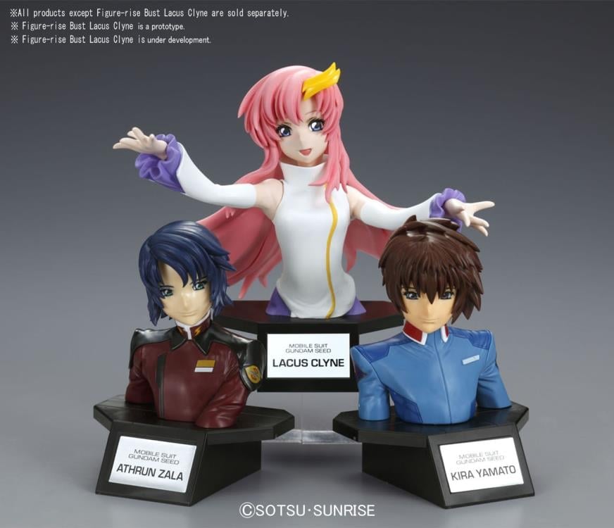 Mobile Suit Gundam SEED Figure-rise Bust Lacus Clyne Model Kit Gallery Image 8