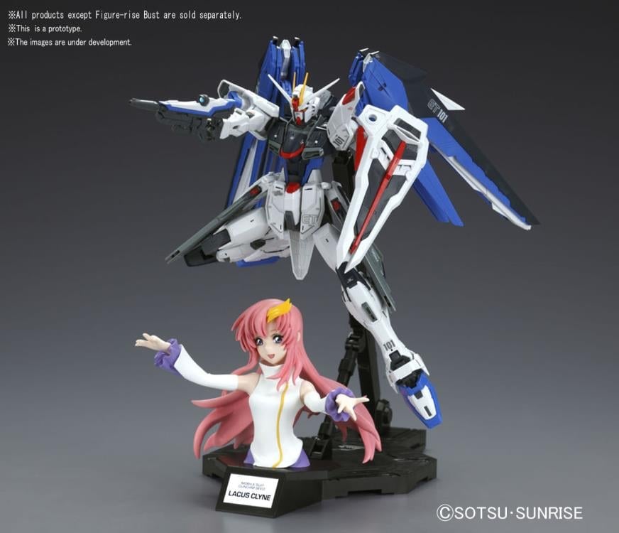 Mobile Suit Gundam SEED Figure-rise Bust Lacus Clyne Model Kit Gallery Image 10