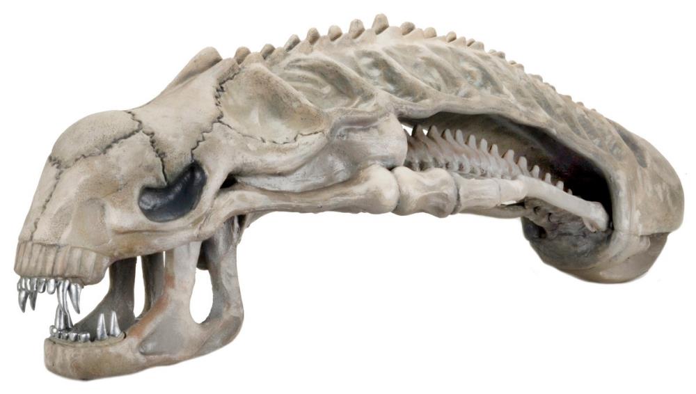 Aliens Foam Prop Replica - 36" Alien Skull Gallery Image 5