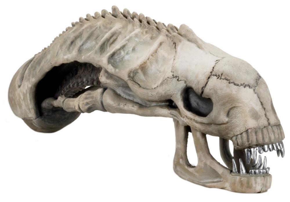 Aliens Foam Prop Replica - 36" Alien Skull Gallery Image 3