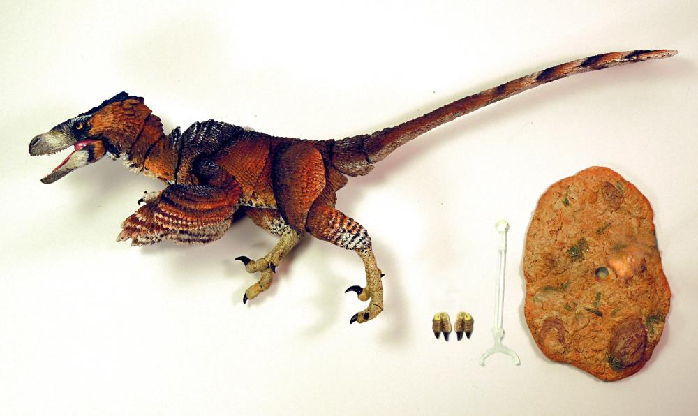 Beasts of the Mesozoic: Raptor Series Adasaurus mongoliensis Deluxe Figure Gallery Image 5