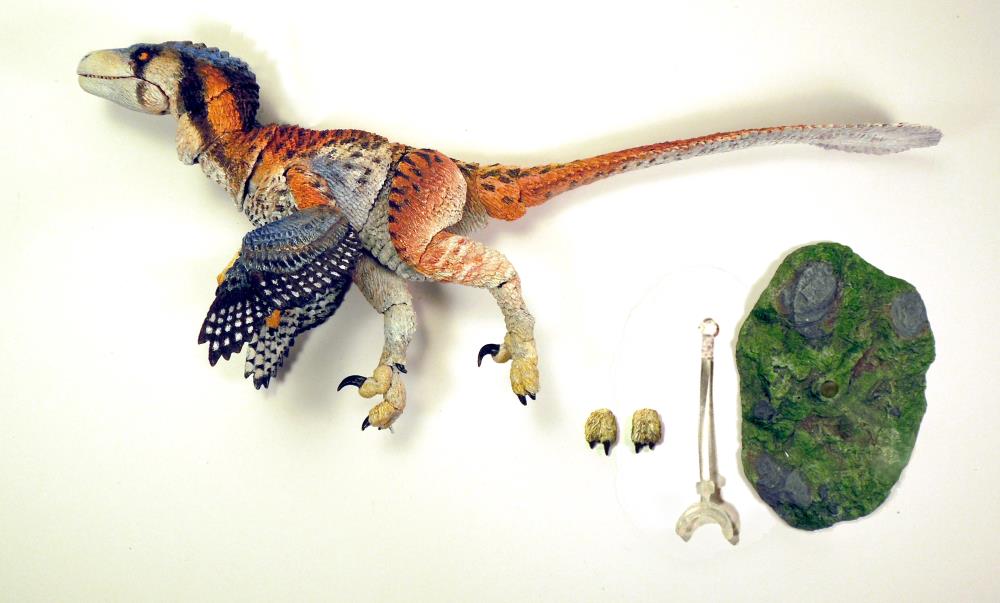 Beasts of the Mesozoic: Raptor Series Deluxe Figure - Dromaeosaurus albertensis (Fan's Choice) Gallery Image 5