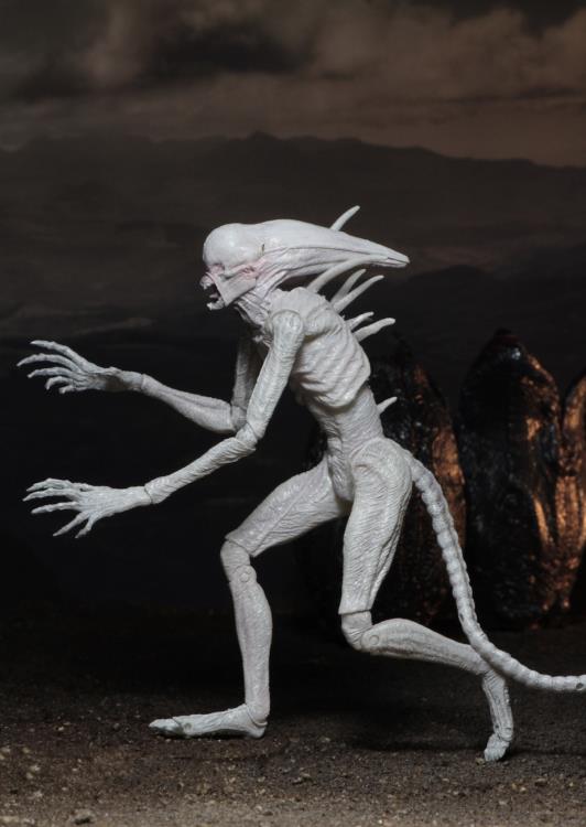 Alien: Covenant 7" Action Figure - Neomorph Gallery Image 6