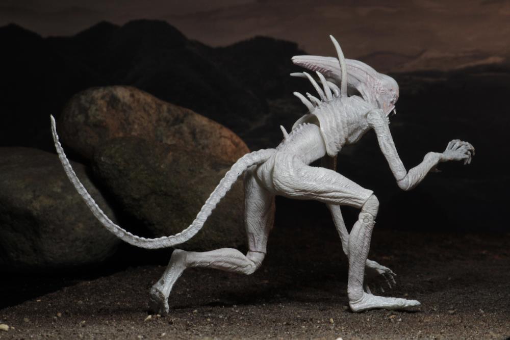 Alien: Covenant 7" Action Figure - Neomorph Gallery Image 4