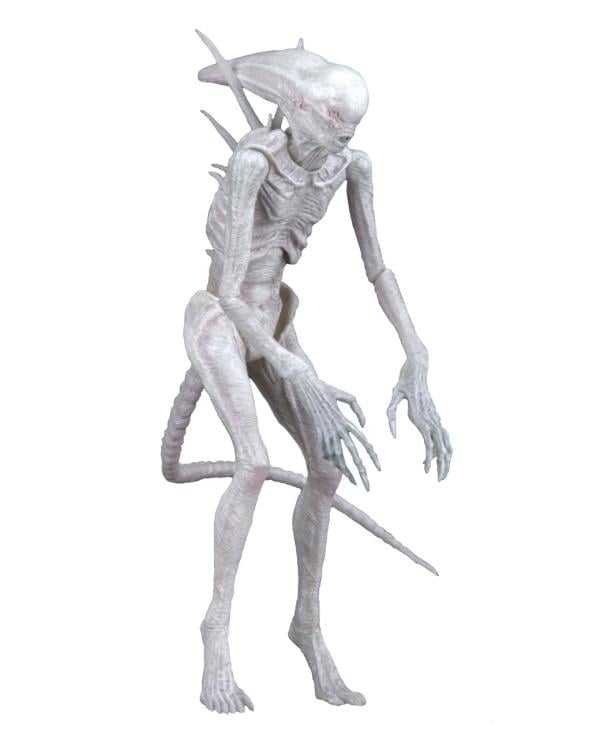 Alien: Covenant 7" Action Figure - Neomorph Gallery Image 8