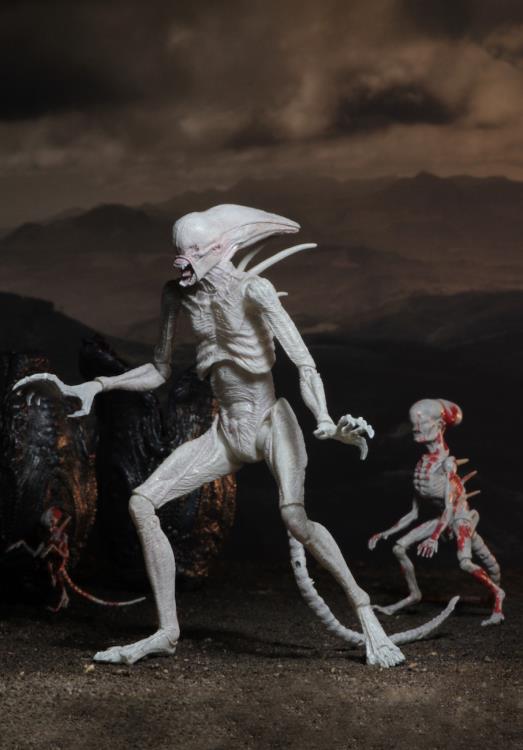 Alien: Covenant 7" Action Figure - Neomorph Gallery Image 5