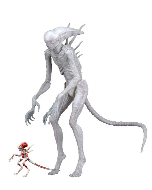 Alien: Covenant 7" Action Figure - Neomorph Gallery Image 7
