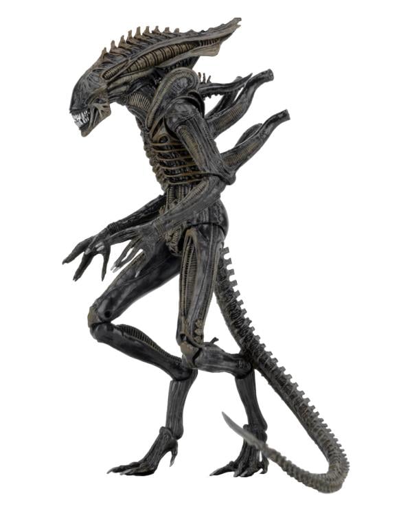 Aliens Defiance Xenomorph フィギュア Aliens Series 11 Defiance Xenomorph Figure