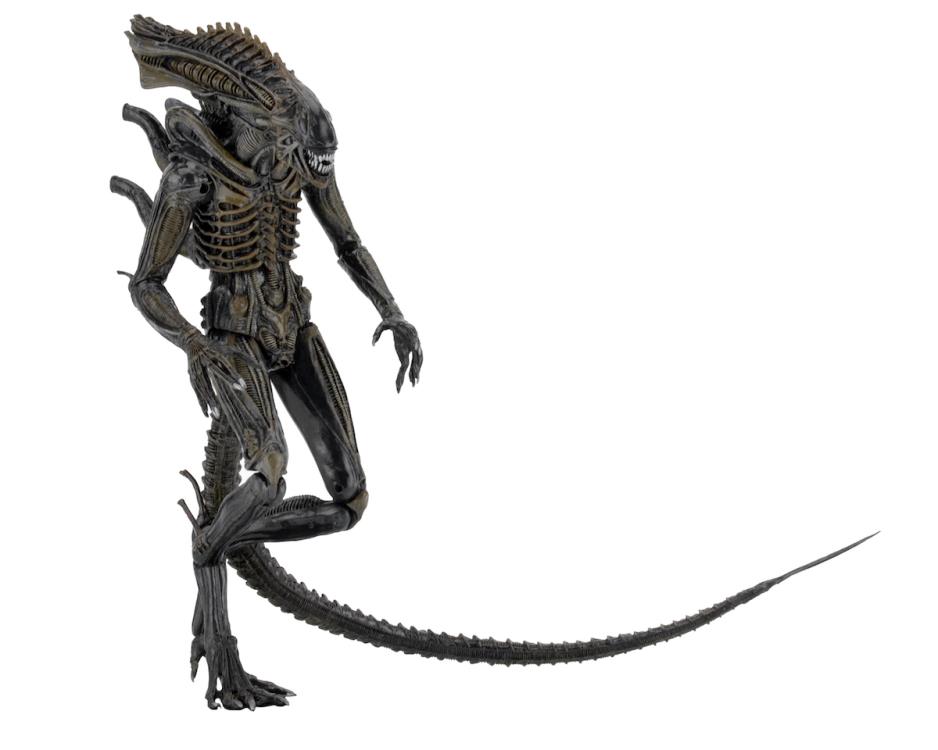 Aliens Series 11 Defiance Xenomorph Figure