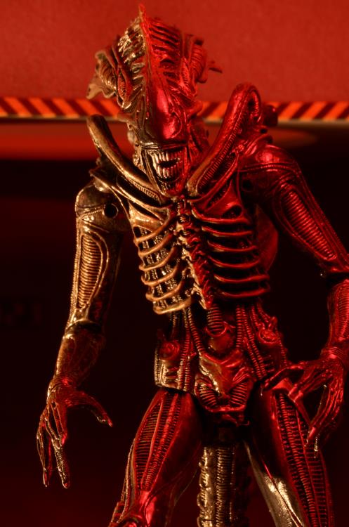 Aliens Series 11 Defiance Xenomorph Figure