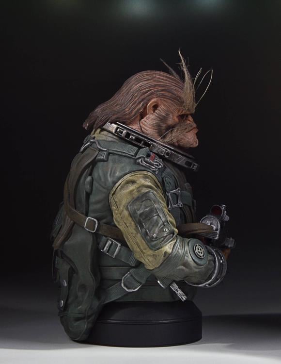 Rogue One: A Star Wars Story Bistan Collectible Mini Bust Gallery Image 9