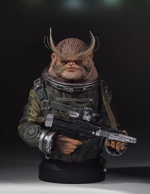 Rogue One: A Star Wars Story Bistan Collectible Mini Bust Gallery Image 3