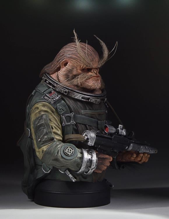 Rogue One: A Star Wars Story Bistan Collectible Mini Bust Gallery Image 10