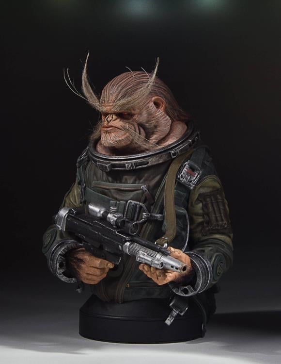Rogue One: A Star Wars Story Bistan Collectible Mini Bust Gallery Image 4