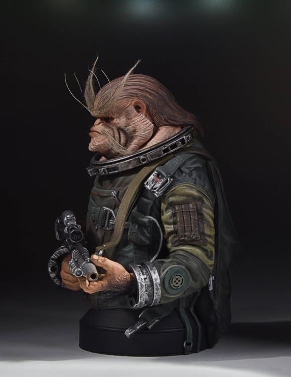 Rogue One: A Star Wars Story Bistan Collectible Mini Bust Gallery Image 6