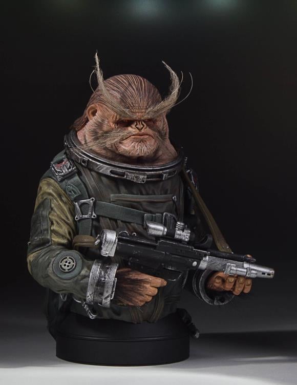 Rogue One: A Star Wars Story Bistan Collectible Mini Bust Gallery Image 11