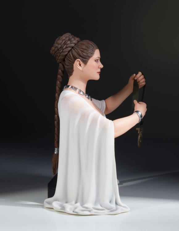Star Wars Leia (Hero of Yavin) Collectible Mini Bust Gallery Image 7