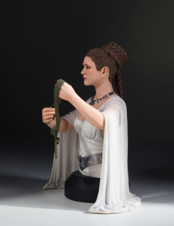 Star Wars Leia (Hero of Yavin) Collectible Mini Bust Gallery Image 5