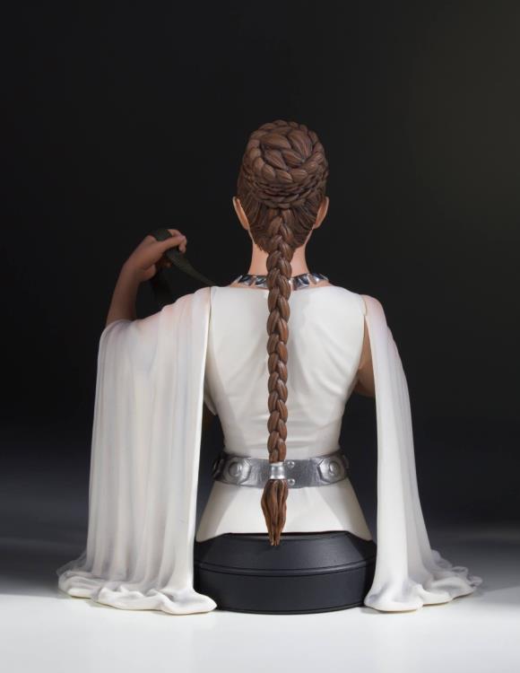 Star Wars Leia (Hero of Yavin) Collectible Mini Bust Gallery Image 6