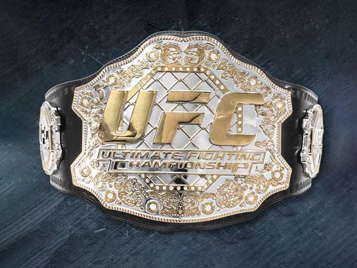 UFC Limited Edition World Championship Adult Size Replica Belt Gallery Image 1
