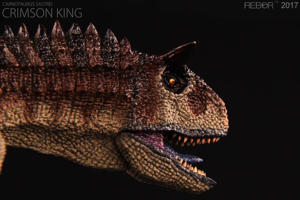 Carnotaurus sastrei "Crimson King" 1/35 Scale Museum Class Replica Gallery Image 10