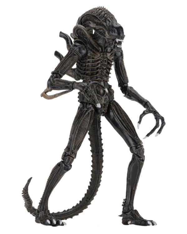 Aliens Ultimate Warrior Alien Set of 2 Figures Gallery Image 17