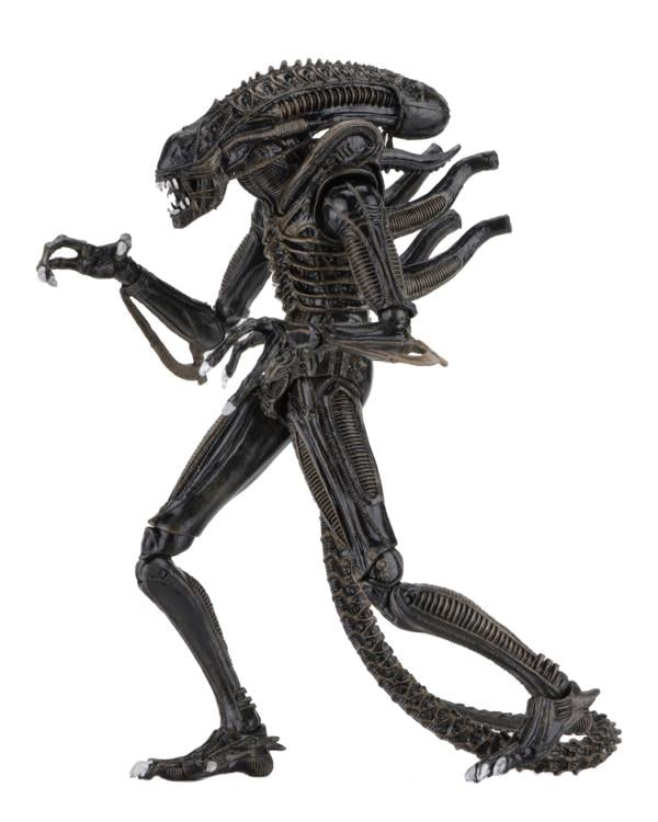 Aliens Ultimate Warrior Alien Set of 2 Figures