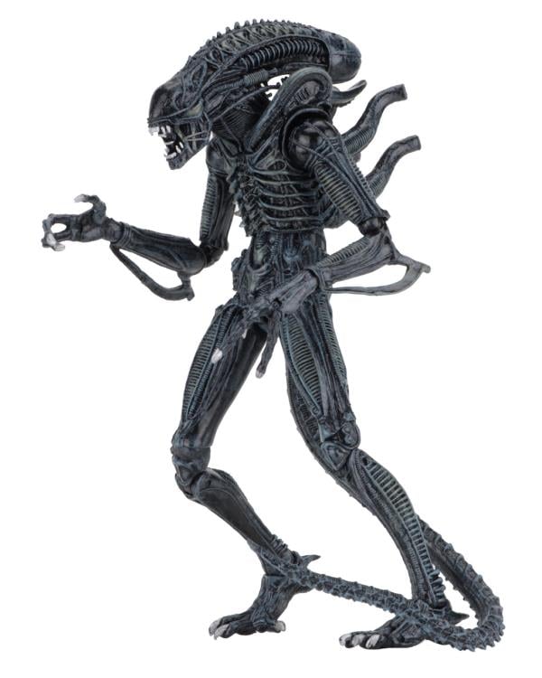 Aliens Ultimate Warrior Alien Set of 2 Figures Gallery Image 14