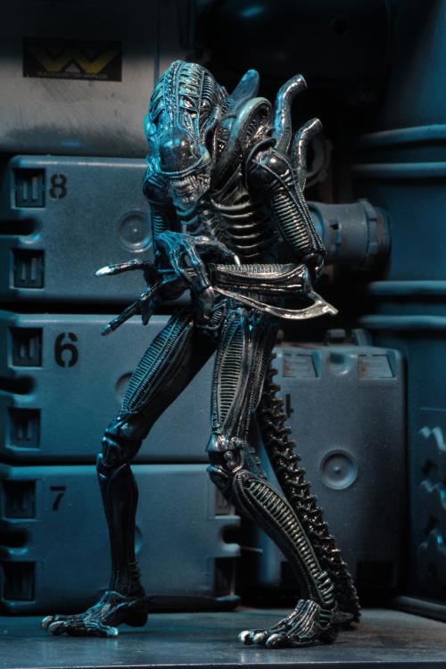 Aliens Ultimate Warrior Alien Set of 2 Figures Gallery Image 5