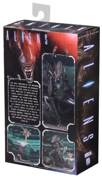 Aliens Ultimate Warrior Alien Set of 2 Figures Gallery Image 25