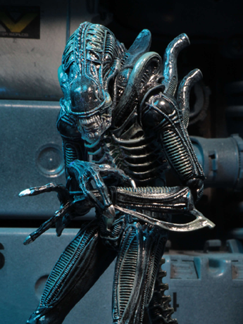 Aliens Ultimate Warrior (Blue) Action Figure Gallery Image 2