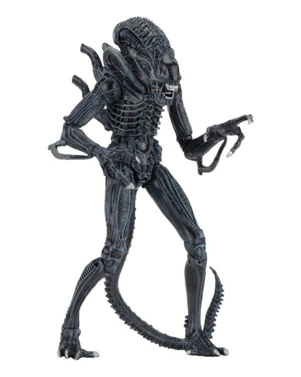 Aliens Ultimate Warrior (Blue) Action Figure Gallery Image 7