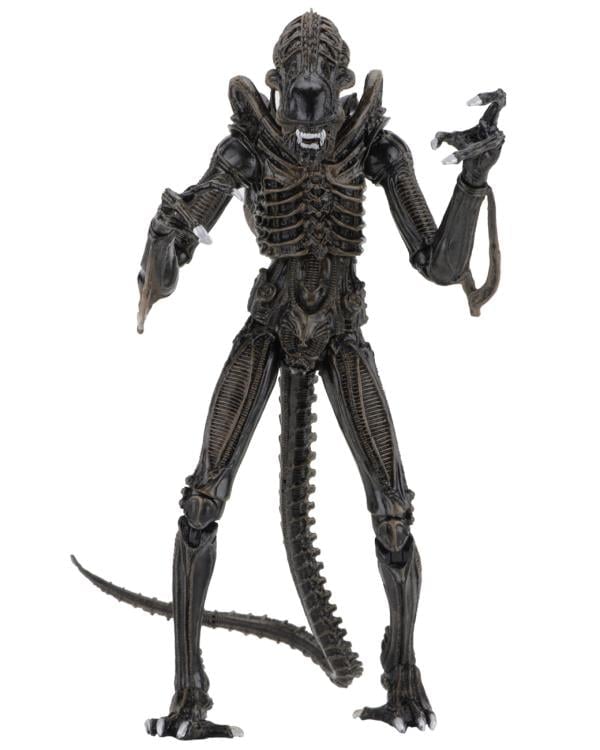Aliens Ultimate Warrior (Brown) Action Figure