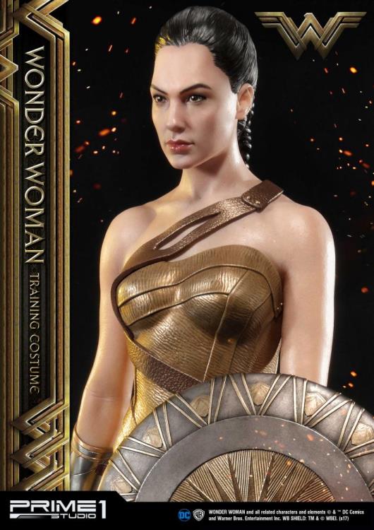 Wonder Woman Museum Masterline Wonder Woman (Training Costume) 1/3 Scale Statue Gallery Image 9