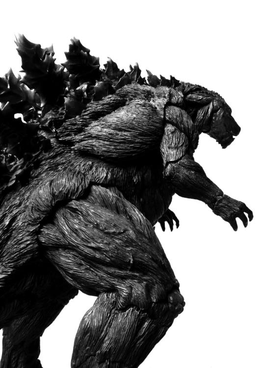 Godzilla: Planet of Monsters S.H.MonsterArts Godzilla Gallery Image 3
