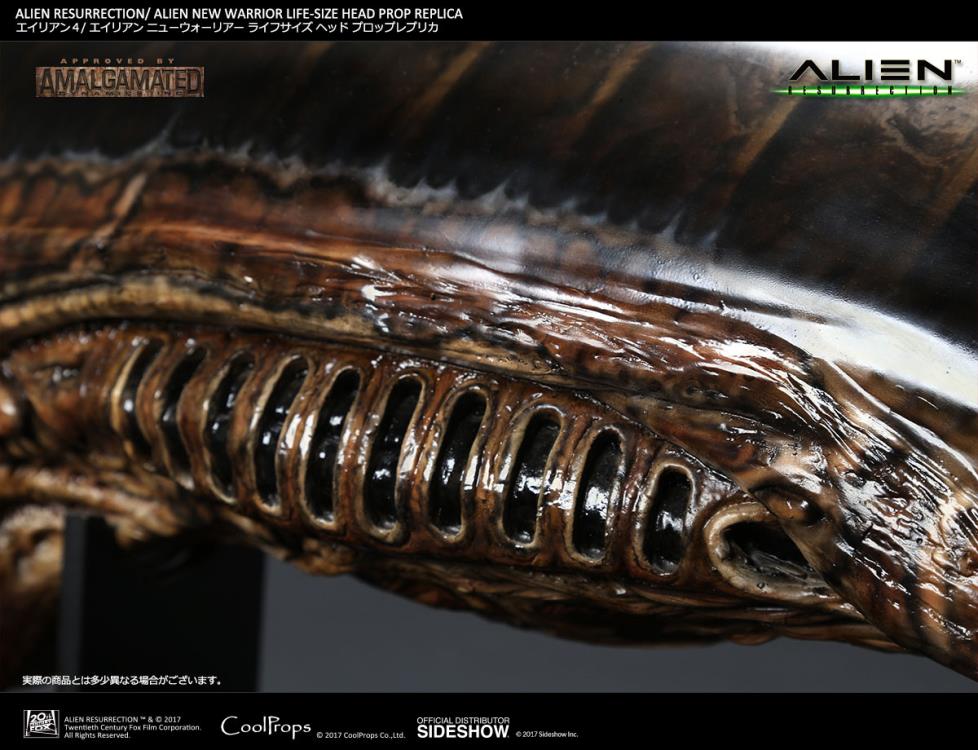 Alien: Resurrection New Warrior Life-Size Head Prop Replica Gallery Image 11