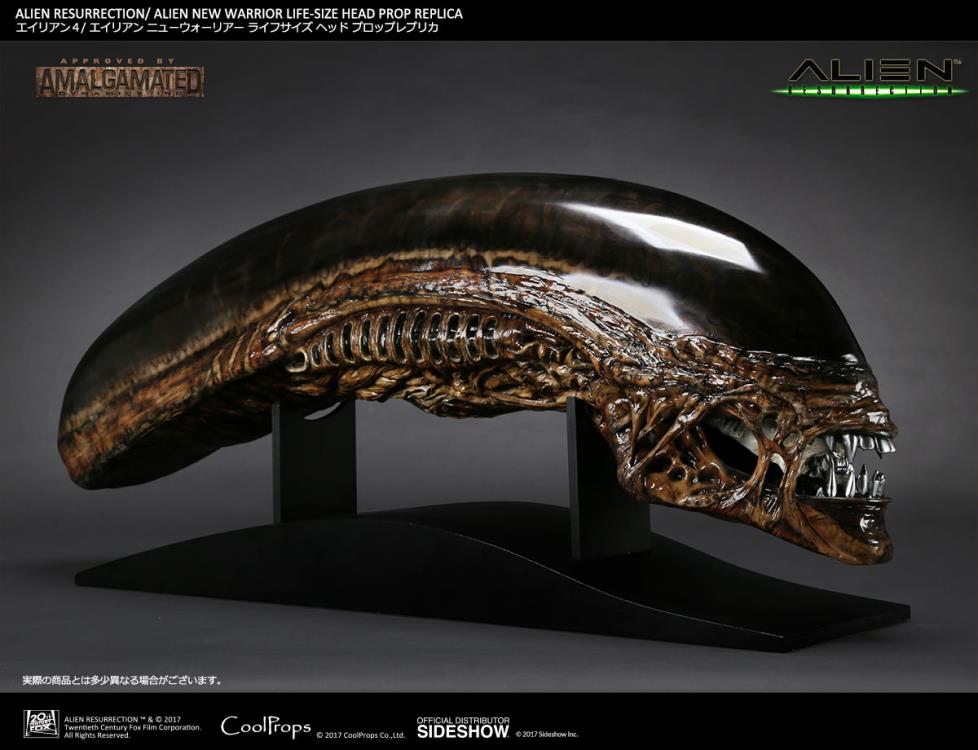 Alien: Resurrection New Warrior Life-Size Head Prop Replica Gallery Image 4