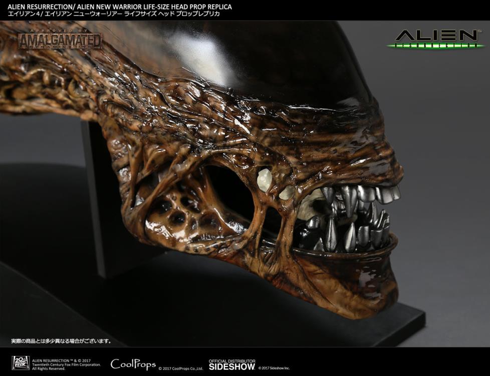 Alien: Resurrection New Warrior Life-Size Head Prop Replica Gallery Image 10