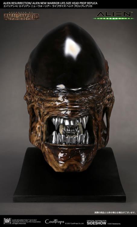Alien: Resurrection New Warrior Life-Size Head Prop Replica Gallery Image 8