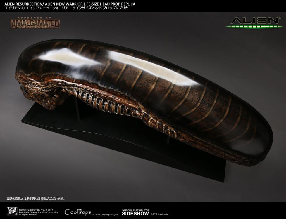 Alien: Resurrection New Warrior Life-Size Head Prop Replica Gallery Image 7