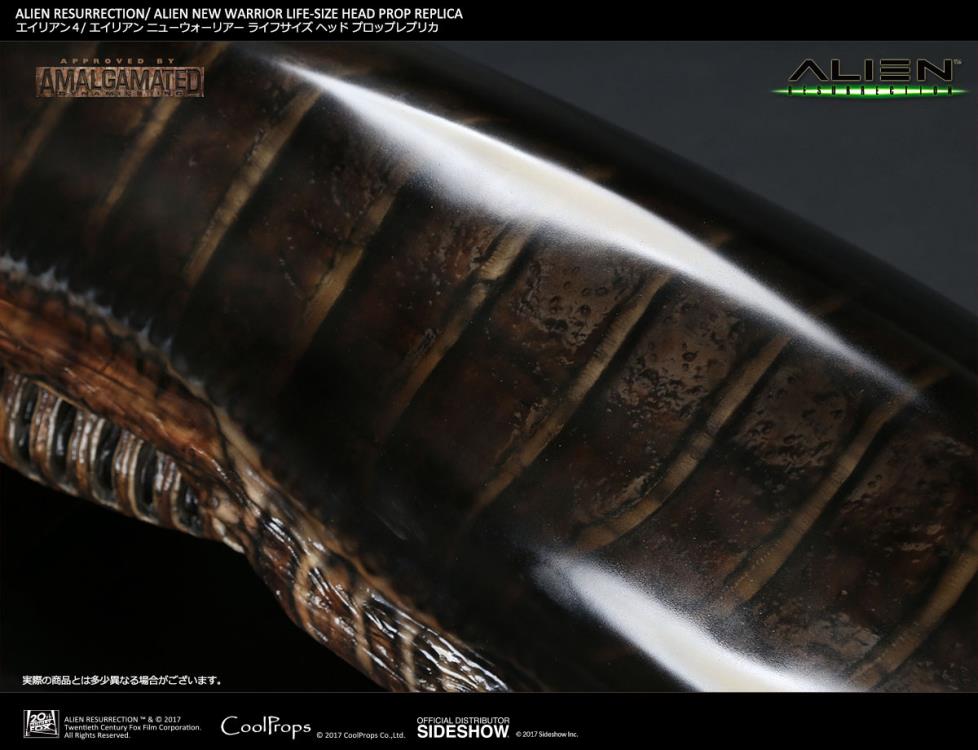 Alien: Resurrection New Warrior Life-Size Head Prop Replica Gallery Image 9