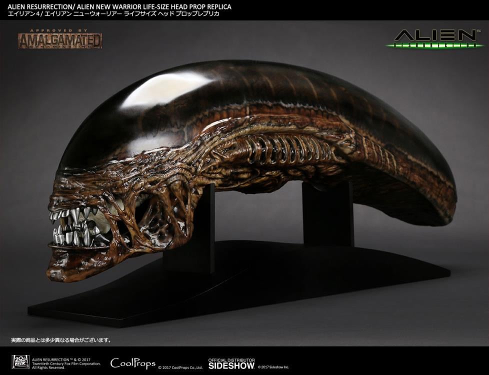 Alien: Resurrection New Warrior Life-Size Head Prop Replica Gallery Image 6