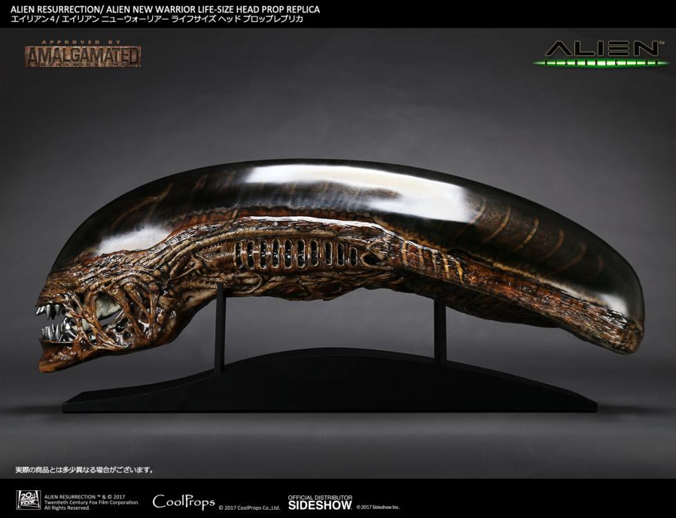 Alien: Resurrection New Warrior Life-Size Head Prop Replica Gallery Image 3