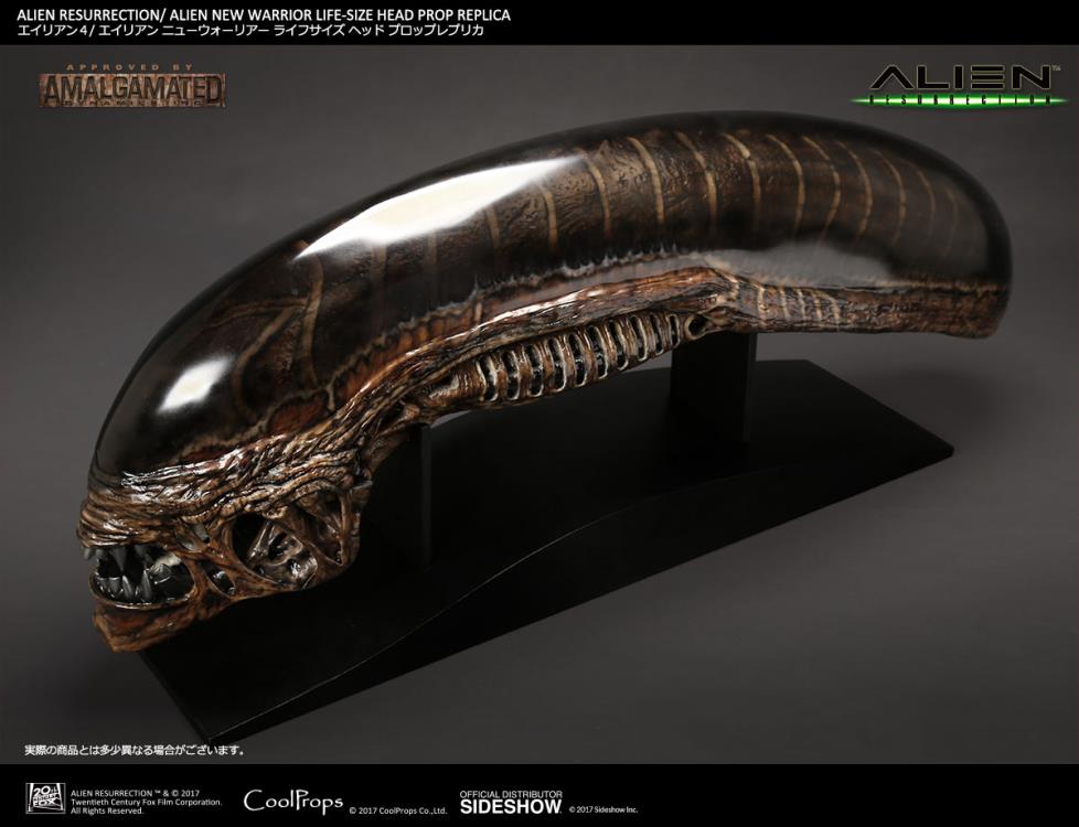 Alien: Resurrection New Warrior Life-Size Head Prop Replica Gallery Image 5
