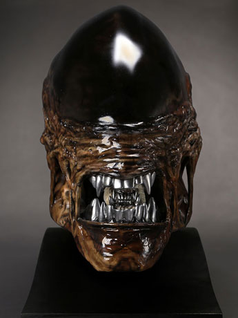 Alien: Resurrection New Warrior Life-Size Head Prop Replica Gallery Image 2